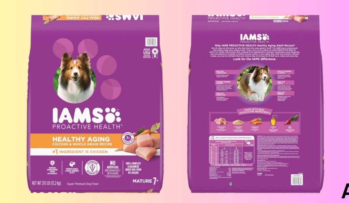 Best Canned Dog Food for Senior Dogs With Heart Condition