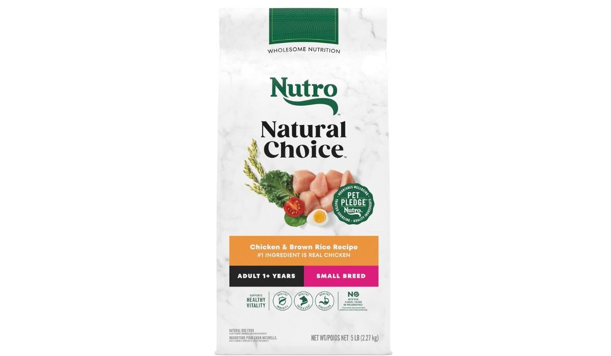 What is the Best Dog Food for Dogs With Seizures