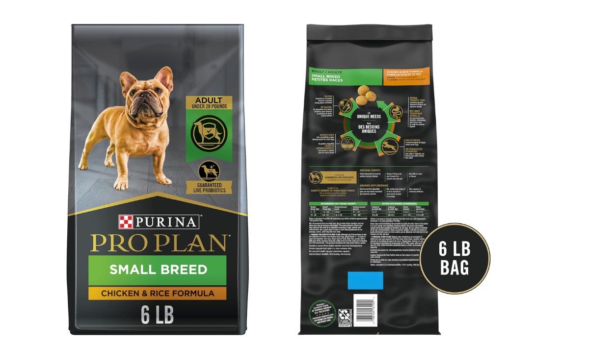 What is the Best Dog Food Brand for Small Dogs