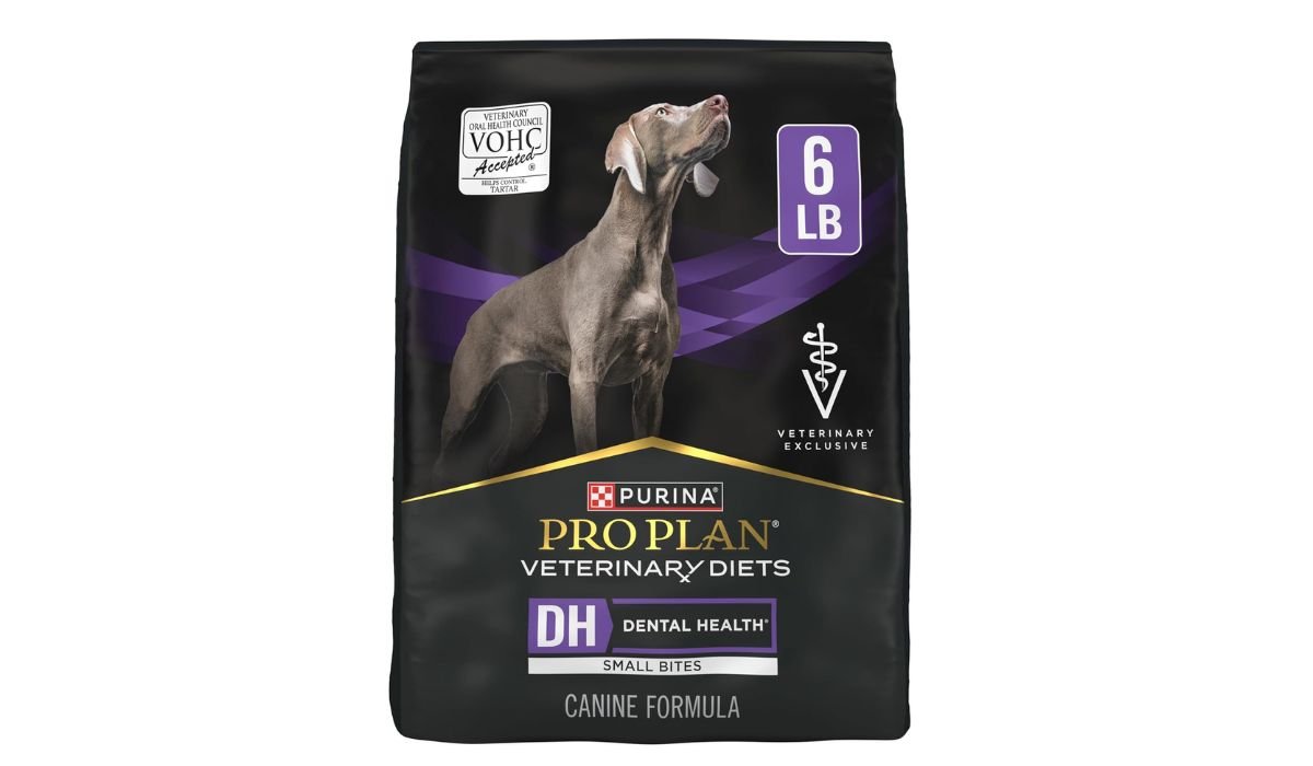 Best Dry Dog Food for Small Dogs With Bad Teeth