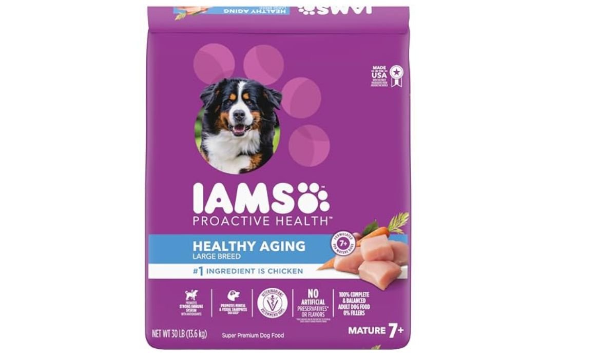 What is the Best Dry Dog Food for Older Dogs