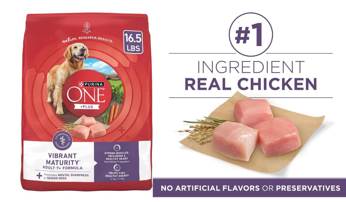 What is the Best Dry Dog Food for Senior Dogs