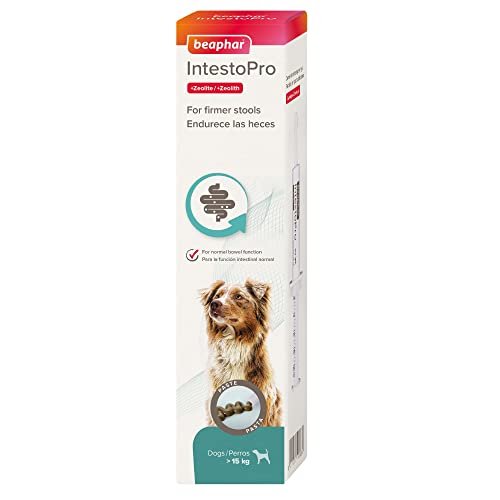 Beaphar – IntestoPro Prebiotic Stool Firming Paste for Medium and Large Dogs (>15kg)– Natural Active Ingredients – Aids digestive upsets and diarrhoea - Supports Healthy Gut Function – 2 syringes