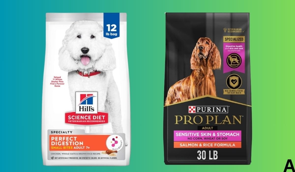 Best Dog Food Brands for Dogs With Sensitive Stomachs