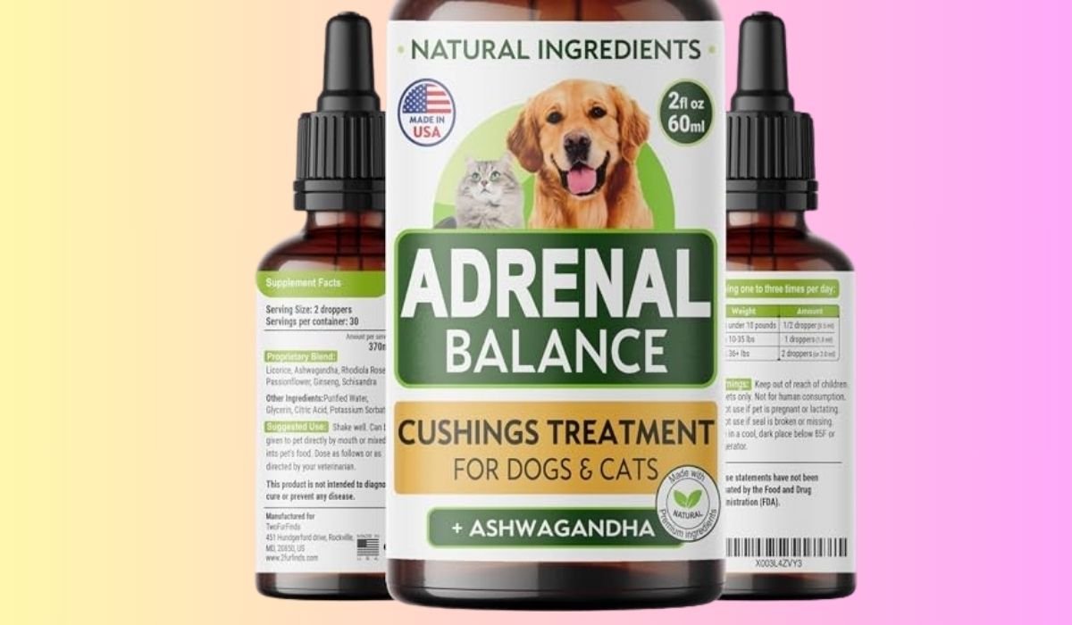 Best Canned Dog Food for Dogs With Cushing's Disease