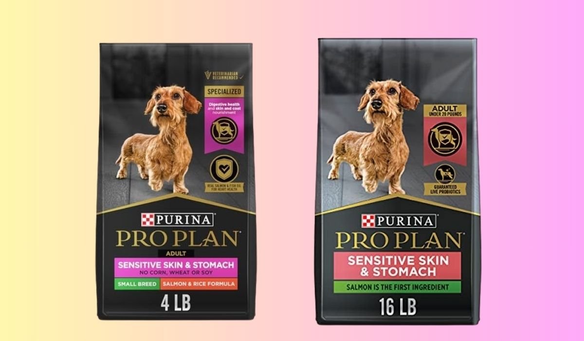 Best Dog Food for Small Dogs With Sensitive Stomachs