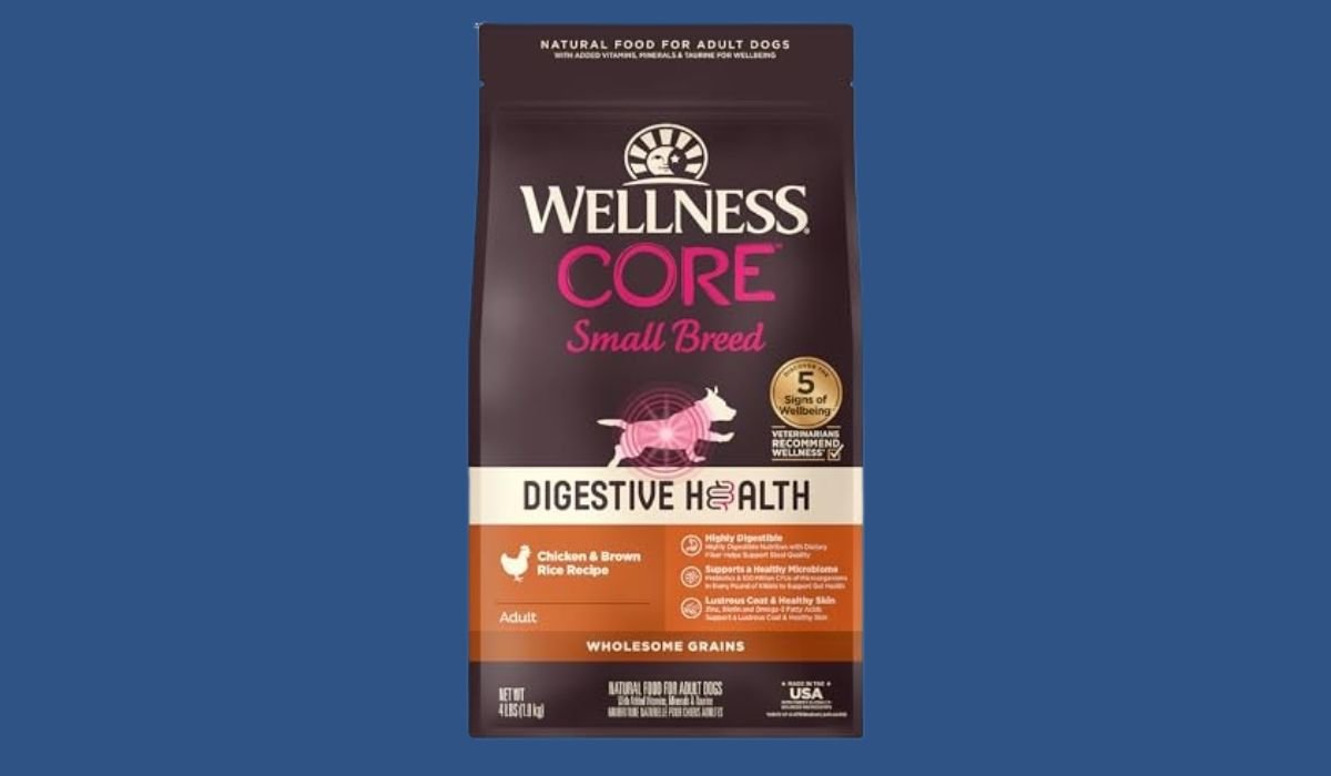 Best Dog Food for Small Dogs With Stomach Issues