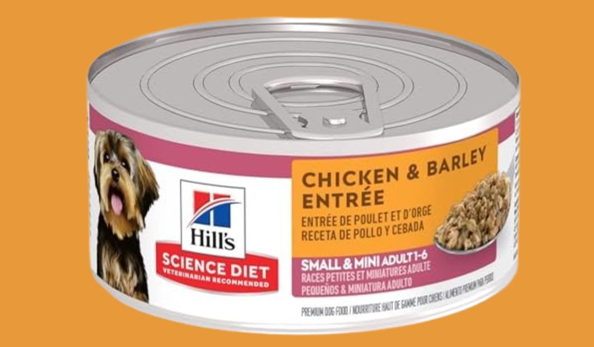 Best Dog Food for Senior Dogs With Heart Disease