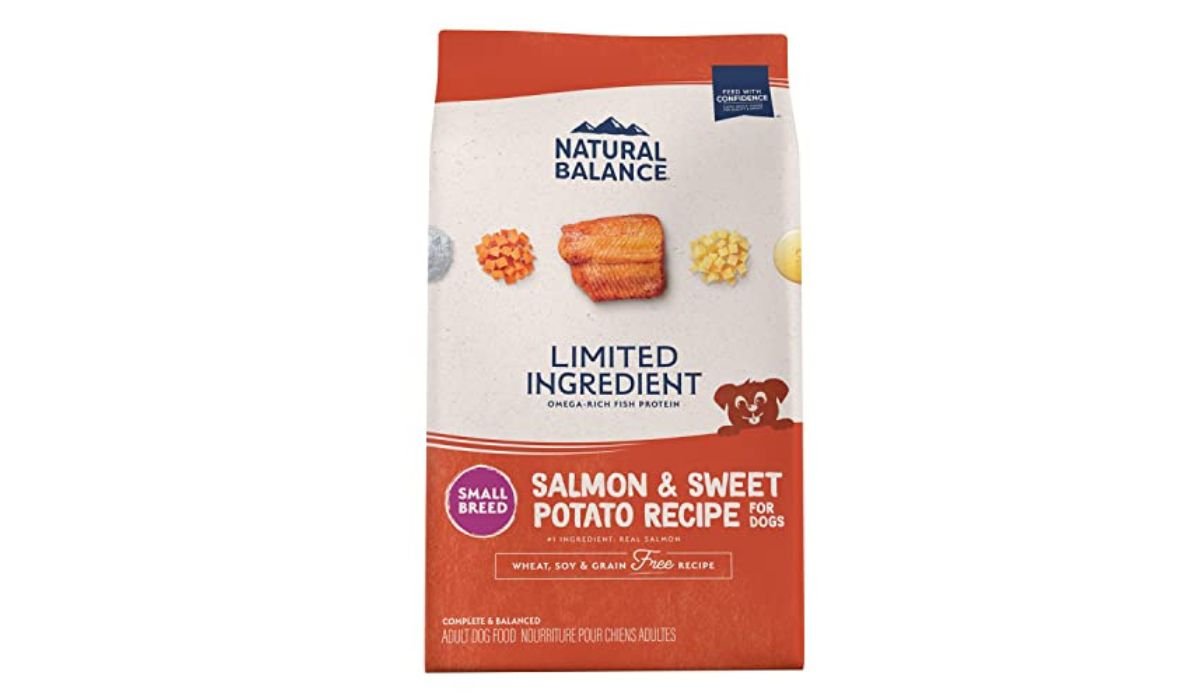 Best Dog Food for Senior Dogs With Skin Issues