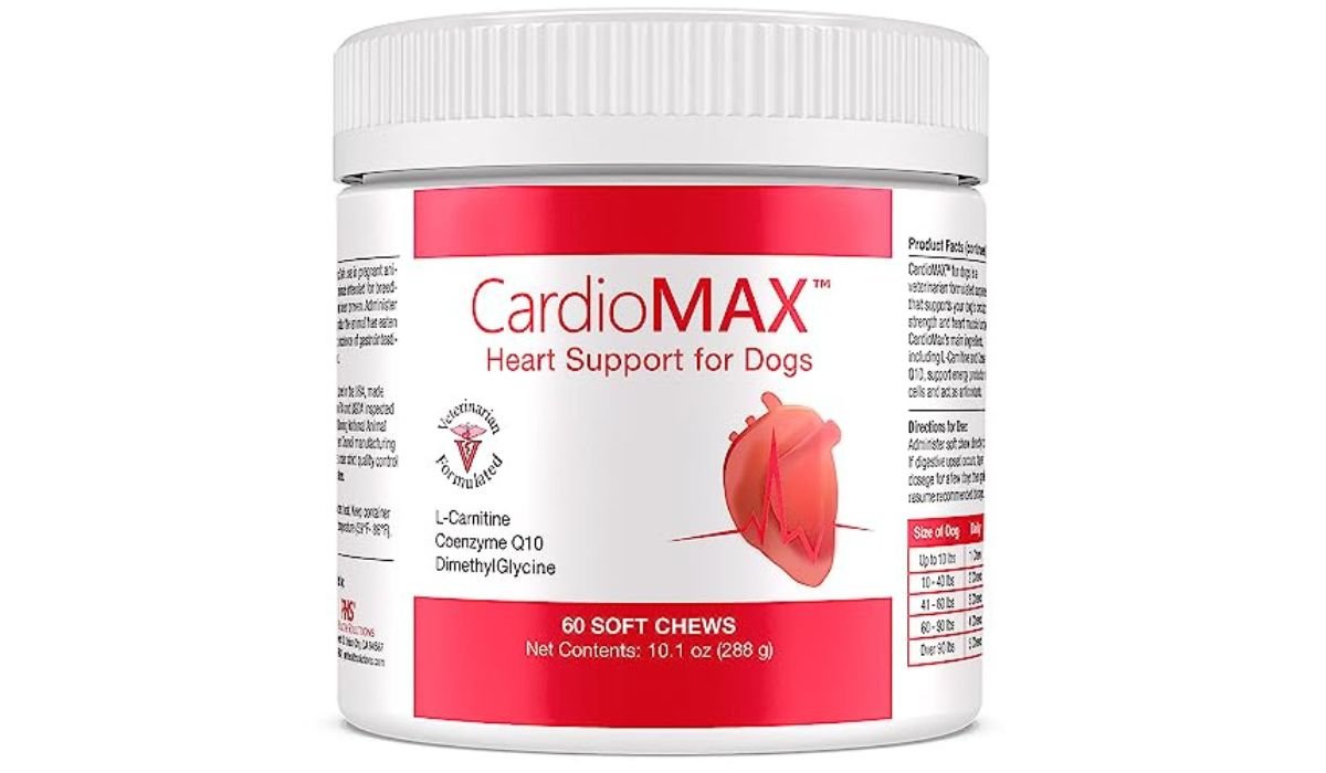 Best Dog Food for Senior Dogs With Heart Issues