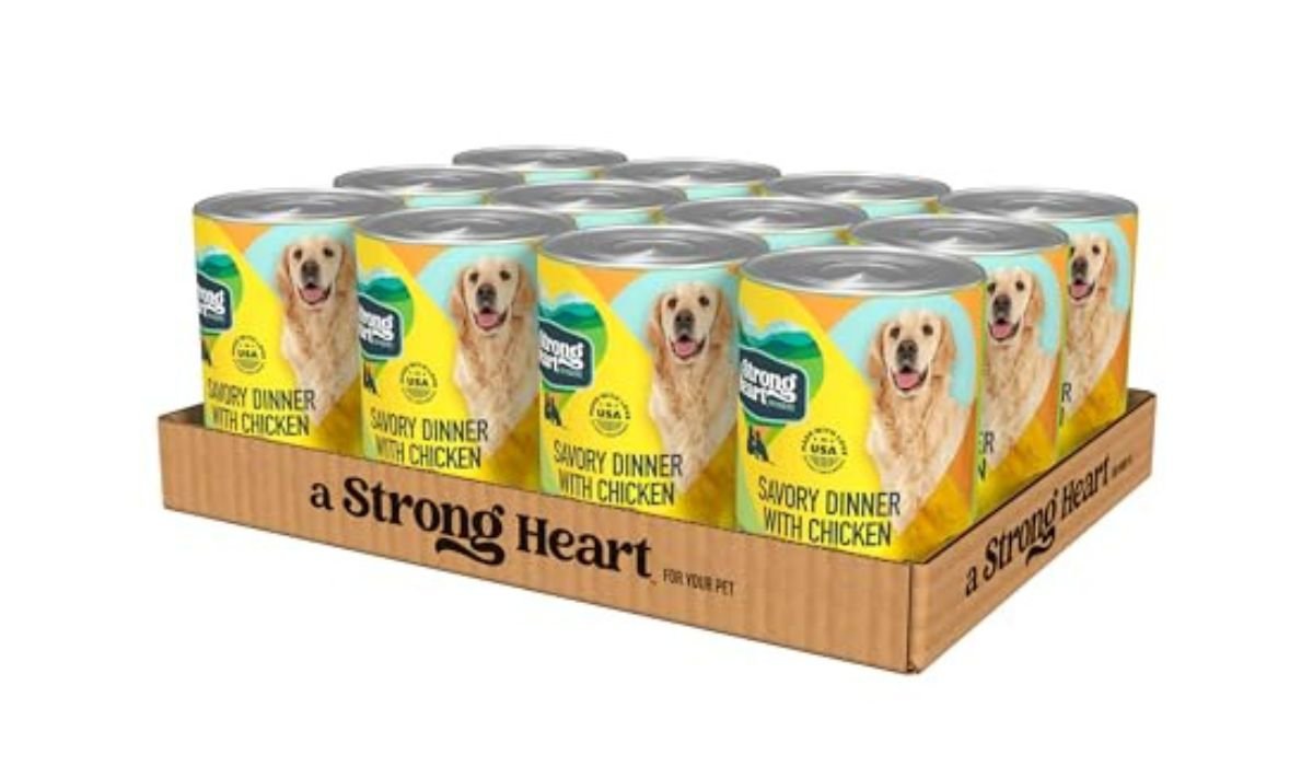 Best Canned Dog Food for Dogs With Heart Disease