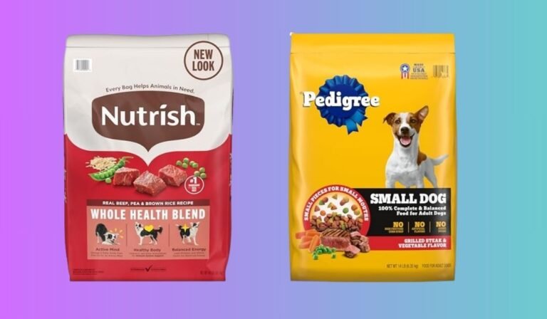 Best Dog Food for Large Senior Dogs With Arthritis: Top 10 Picks