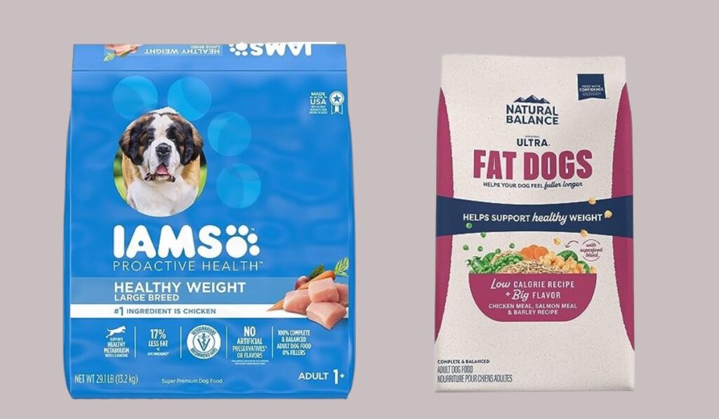 Best Dog Food for Overweight Dogs Nutrition and Weight Management