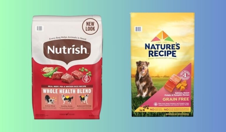 Illustration of Grain Free Dry Dog Food For Allergies