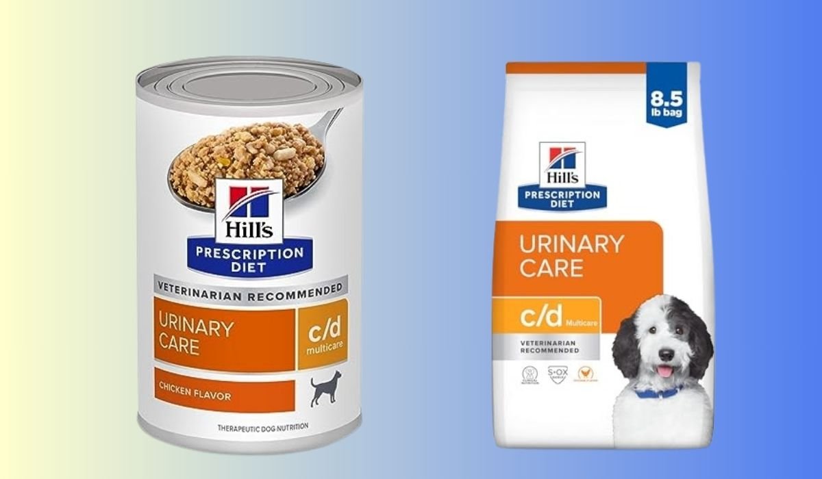 Best Dog Food for Dogs With Bladder Stones