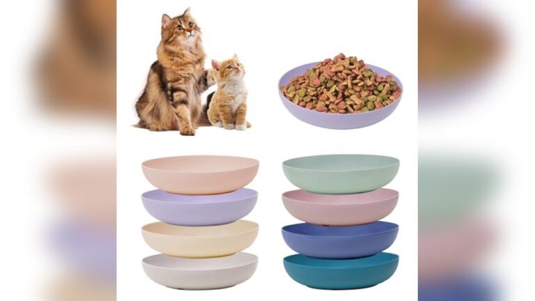 Can I Feed Dog Food to My Cat? Understanding the Feline Dietary Needs